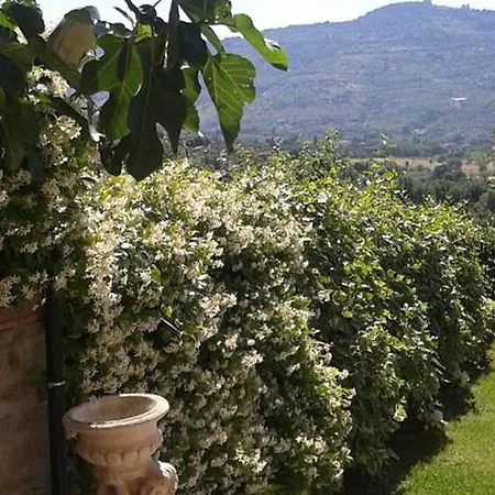 Il Borgo Delle Rondini