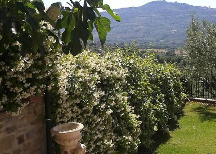 Il Borgo Delle Rondini